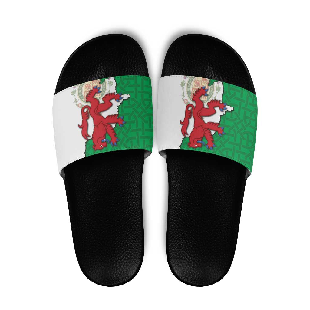 Montgomeryshire Wales Slide Sandals Map and Emblem Celtic Style - Wonder Print Shop
