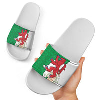 Montgomeryshire Wales Slide Sandals Map and Emblem Celtic Style - Wonder Print Shop