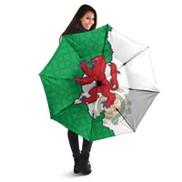 Montgomeryshire Wales Umbrella Map and Emblem Celtic Style - Wonder Print Shop