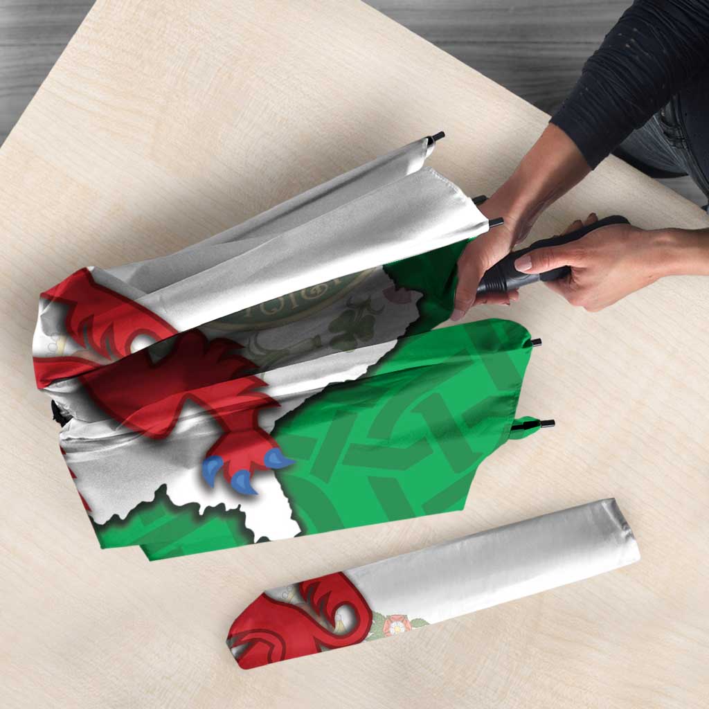 Montgomeryshire Wales Umbrella Map and Emblem Celtic Style - Wonder Print Shop