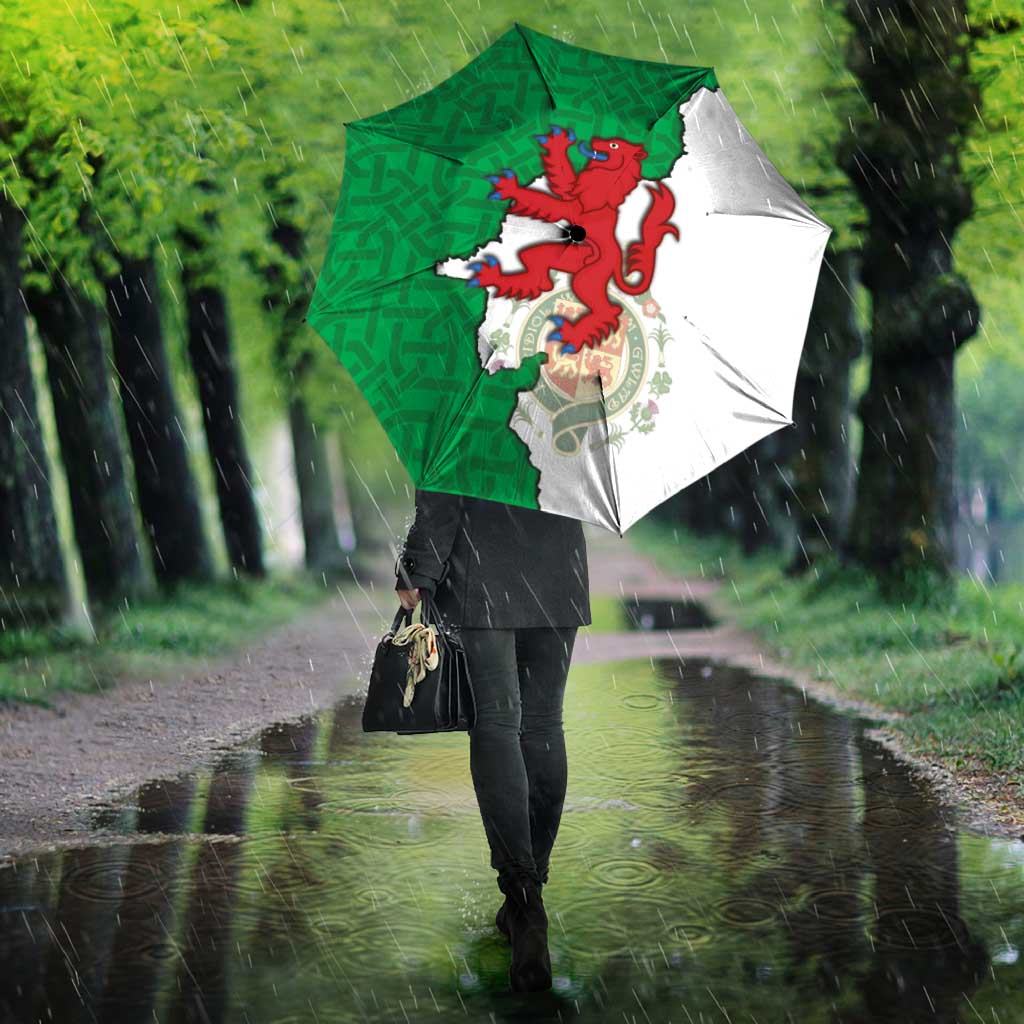 Montgomeryshire Wales Umbrella Map and Emblem Celtic Style - Wonder Print Shop