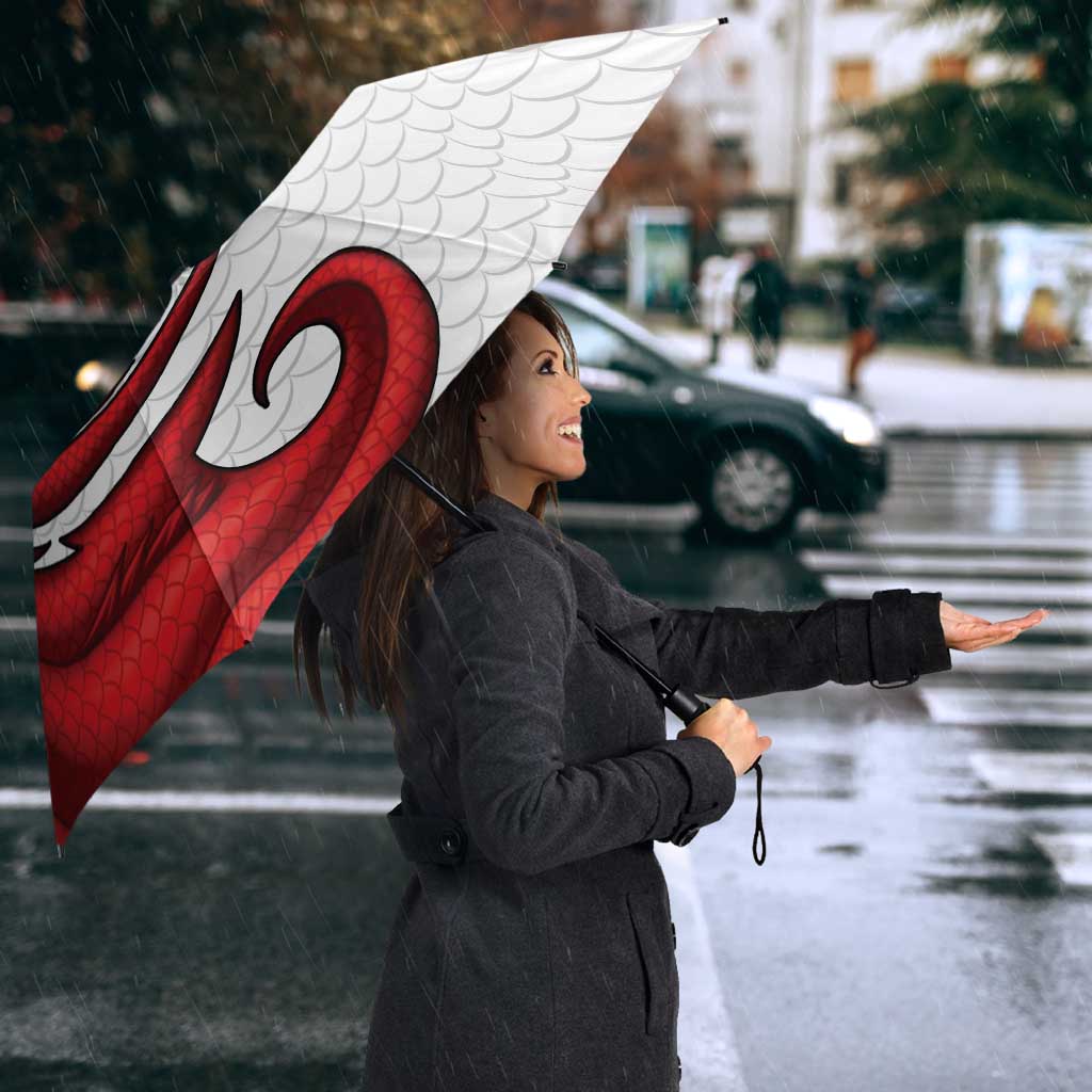 Wales Rugby Red Dragon Umbrella Cymru Am Byth - Wonder Print Shop