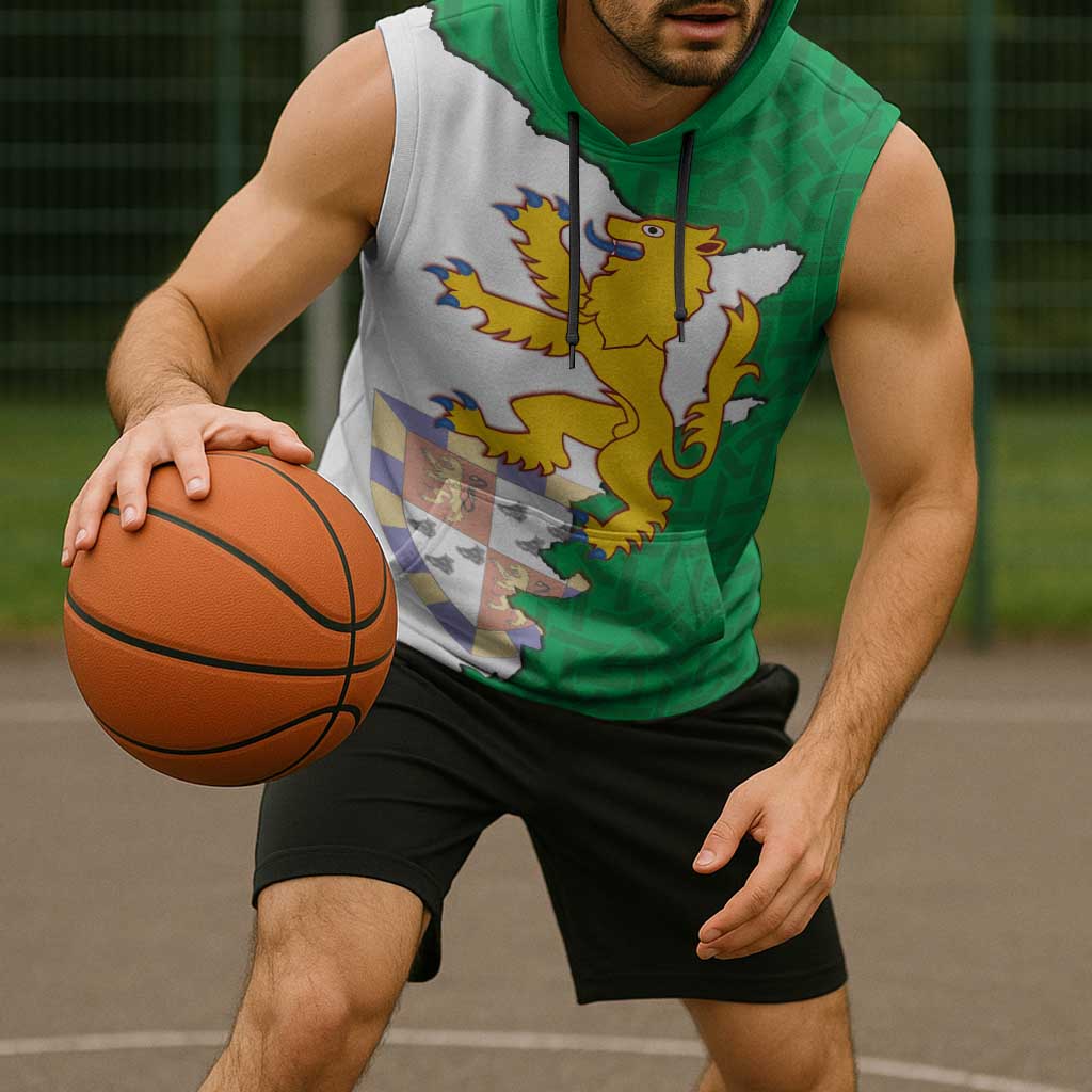 Radnorshire Wales Sleeveless Hoodie Map and Emblem Celtic Style - Wonder Print Shop