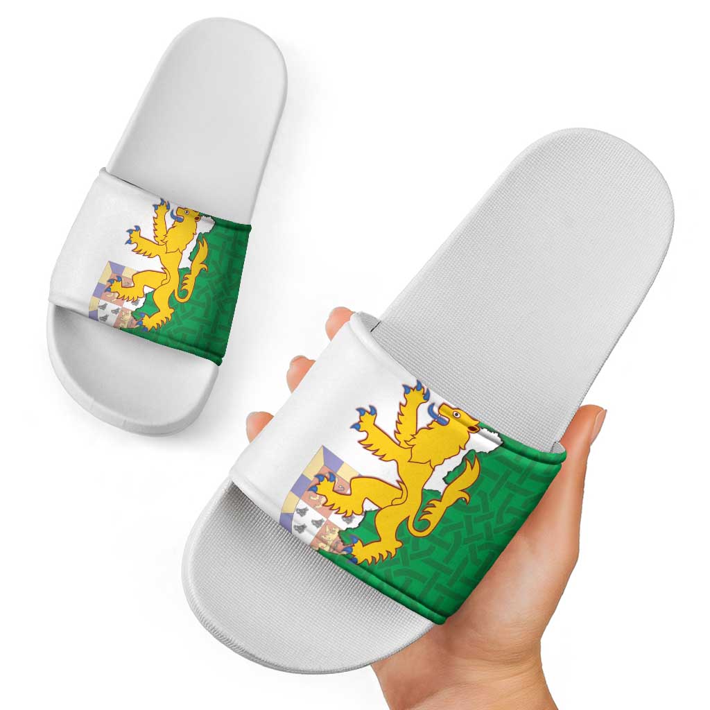 Radnorshire Wales Slide Sandals Map and Emblem Celtic Style - Wonder Print Shop