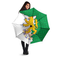 Radnorshire Wales Umbrella Map and Emblem Celtic Style - Wonder Print Shop