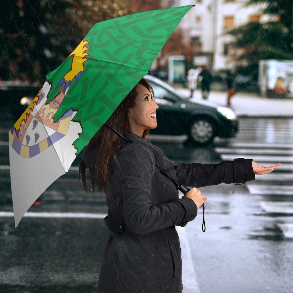 Radnorshire Wales Umbrella Map and Emblem Celtic Style - Wonder Print Shop