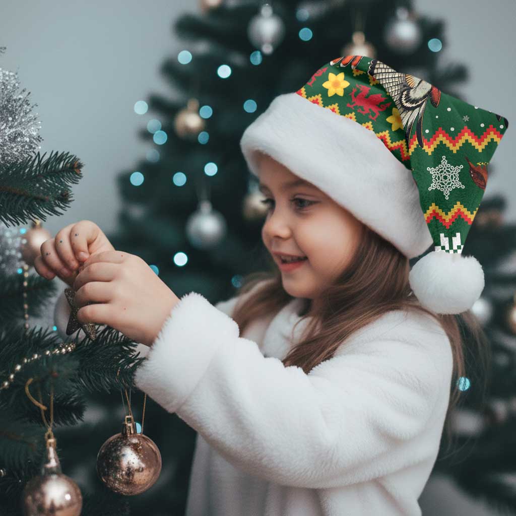 Personalized Radnorshire Wales Christmas Santa Hat Red-Tailed Hawk Design - Wonder Print Shop