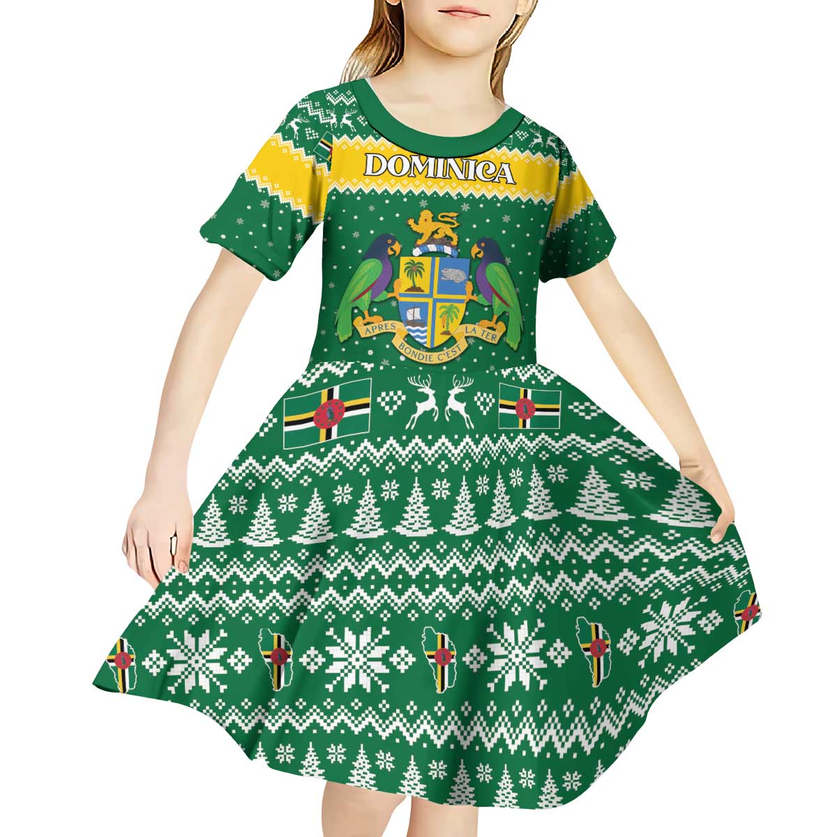 Personalized Dominica Christmas Kid Short Sleeve Dress Coat of Arms Style - Wonder Print Shop