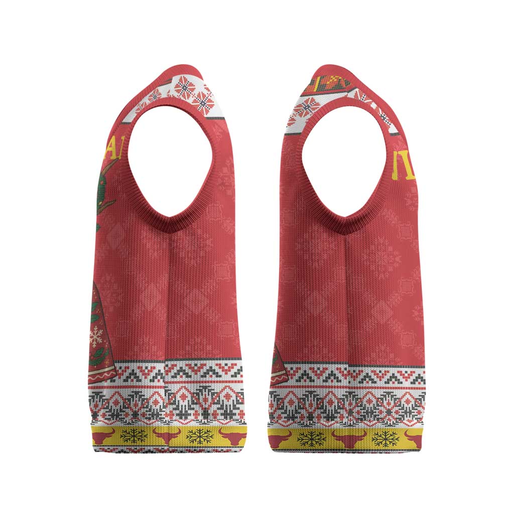 Personalized Romania Christmas Knitted V-Neck Vest Romanian Carpet The Goat Dance - Wonder Print Shop