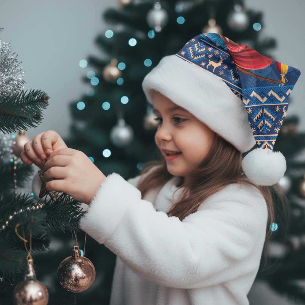 Personalized Romania Christmas Santa Hat Romanian Traditional Masks - Wonder Print Shop