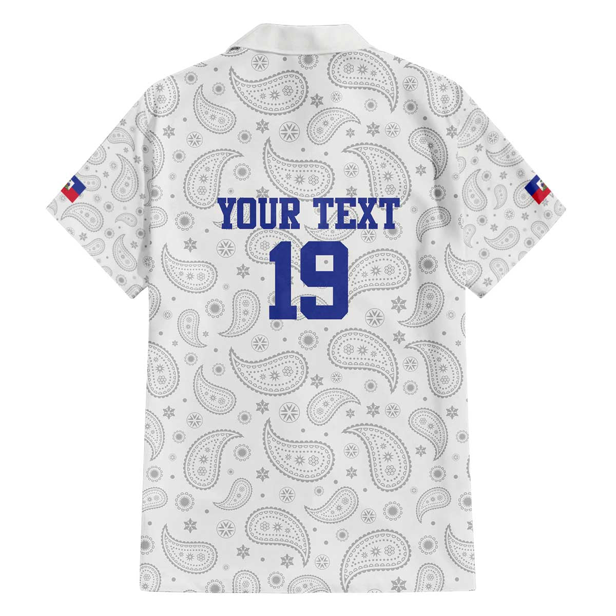 Custom Haiti Football Family Matching Off The Shoulder Long Sleeve Dress and Hawaiian Shirt Paisley Flag Pattern Design - Wonder Print Shop