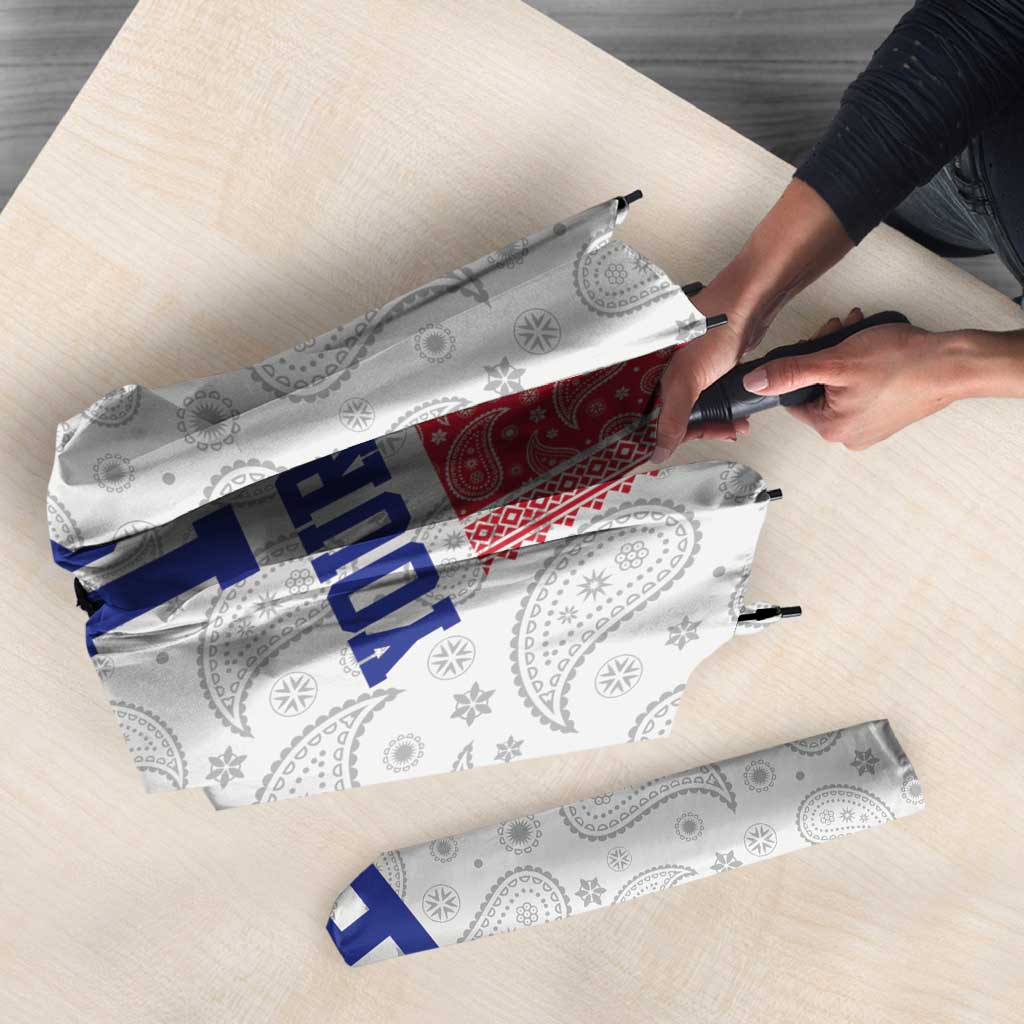 Custom Haiti Football Umbrella Paisley Flag Pattern Design - Wonder Print Shop