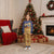 American Flag Ice Cream Drip Christmas Pajama Set 67 Meme Gen Alpha Slang Tee - Wonder Print Shop