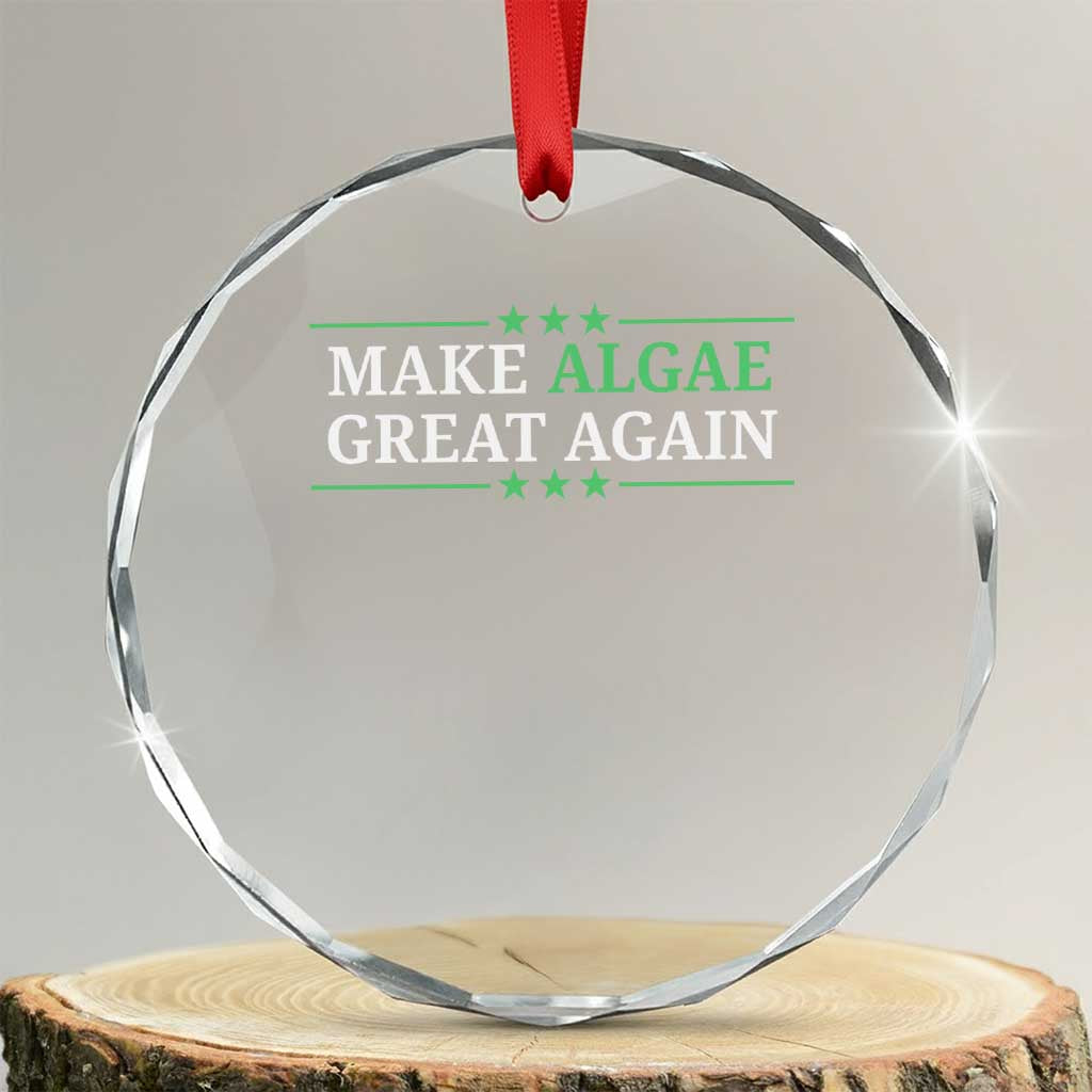 Make Algae Great Again Crystal Glass Ornament Funny Political Satire Lincoln Reflecting Pool