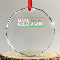 Make Algae Great Again Crystal Glass Ornament Funny Political Satire Lincoln Reflecting Pool