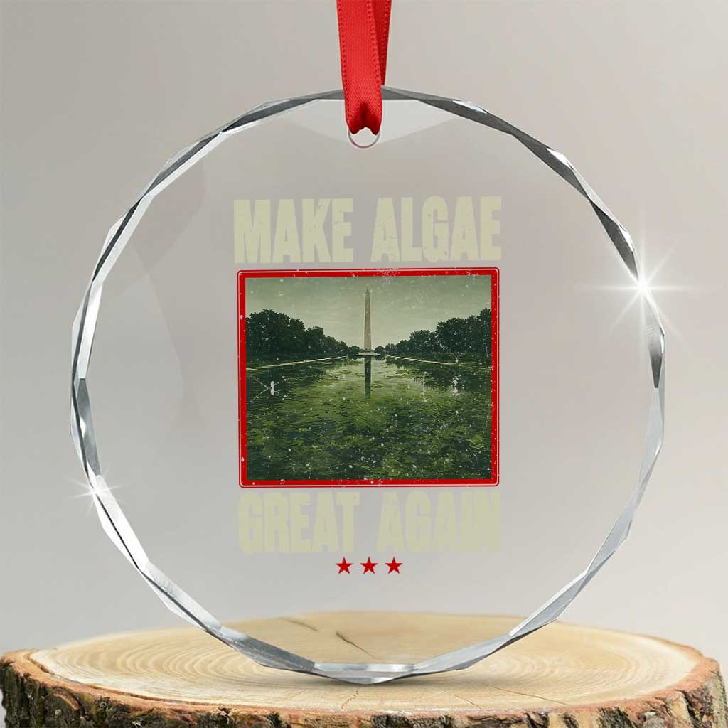Make Algae Great Again Funny DC Slamp Slime Parody Crystal Glass Ornament Washington Monument Reflecting Pool Vintage Photo