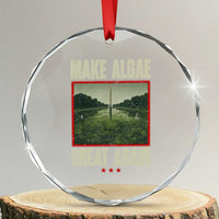 Make Algae Great Again Funny DC Slamp Slime Parody Crystal Glass Ornament Washington Monument Reflecting Pool Vintage Photo
