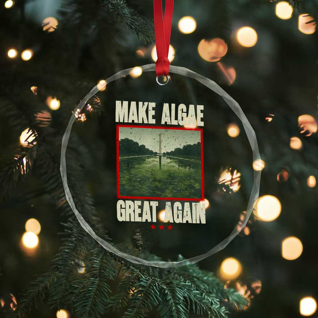 Make Algae Great Again Funny DC Slamp Slime Parody Crystal Glass Ornament Washington Monument Reflecting Pool Vintage Photo