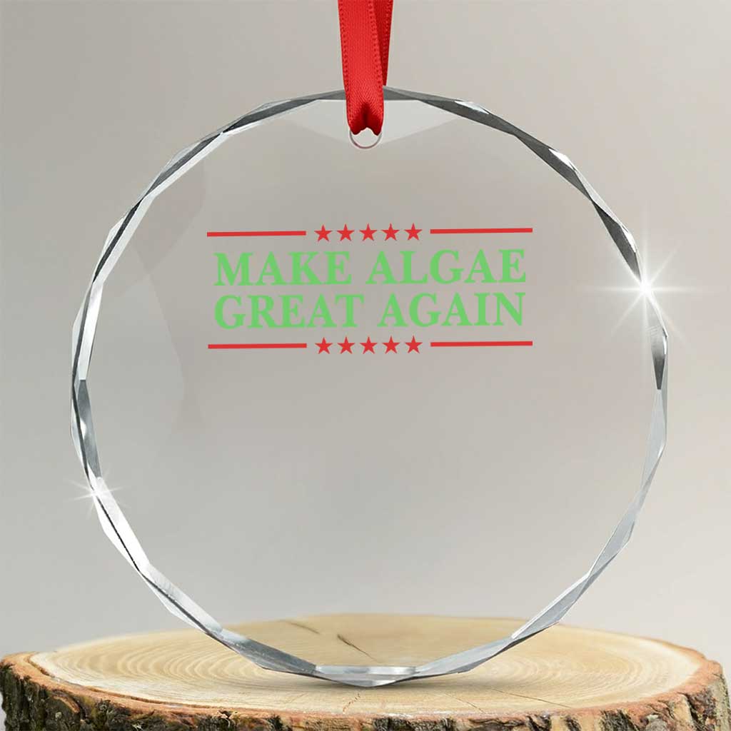 Make Algae Great Again Retro Crystal Glass Ornament Funny Lincoln Memorial Reflecting Pool Parody Meme