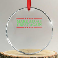 Make Algae Great Again Retro Crystal Glass Ornament Funny Lincoln Memorial Reflecting Pool Parody Meme