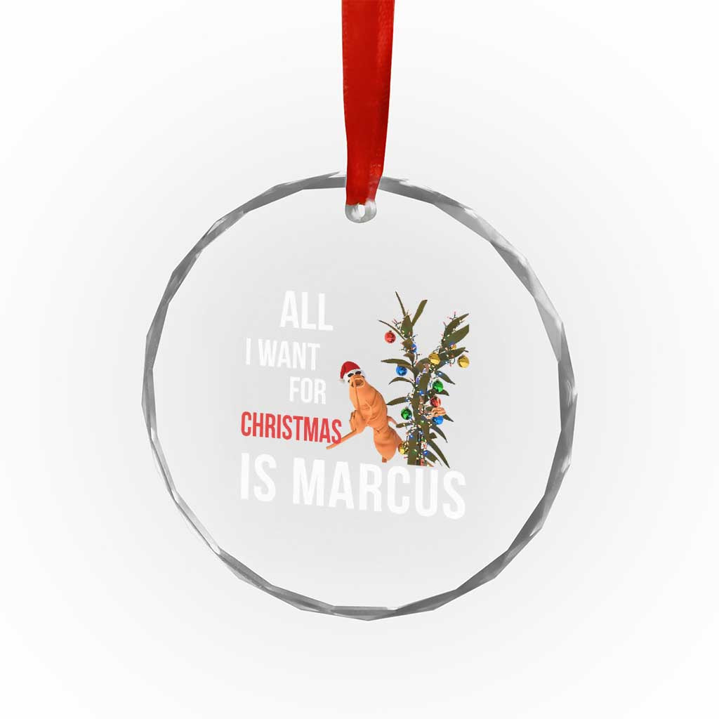 Marcus The Worm Robert Christmas Meme Crystal Glass Ornament All I Want For Xmas Is Marcus - Wonder Print Shop