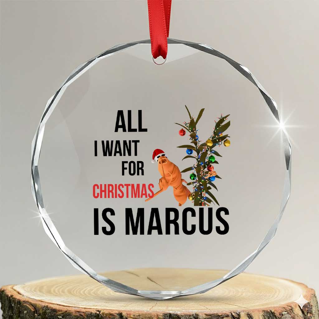 Marcus The Worm Robert Meme Crystal Glass Ornament All I Want For Christmas Is Marcus - Wonder Print Shop