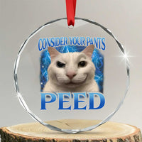 Meme Cat Crystal Glass Ornament Funny Weird Humor Consider Your Pants Peed - Wonder Print Shop