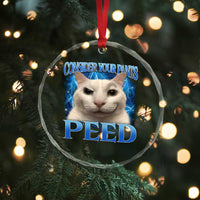 Meme Cat Crystal Glass Ornament Funny Weird Humor Consider Your Pants Peed - Wonder Print Shop
