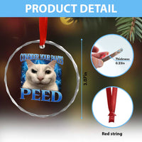 Meme Cat Crystal Glass Ornament Funny Weird Humor Consider Your Pants Peed - Wonder Print Shop