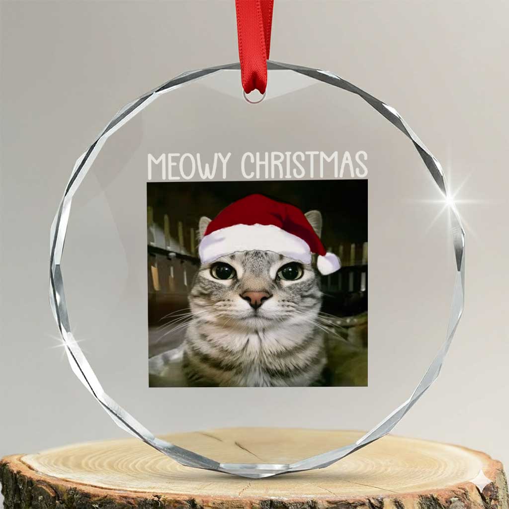 Meowy Christmas Crystal Glass Ornament Xmas Silly Staring Cat Meme Santa Hat - Wonder Print Shop