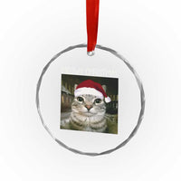 Meowy Christmas Crystal Glass Ornament Xmas Silly Staring Cat Meme Santa Hat - Wonder Print Shop