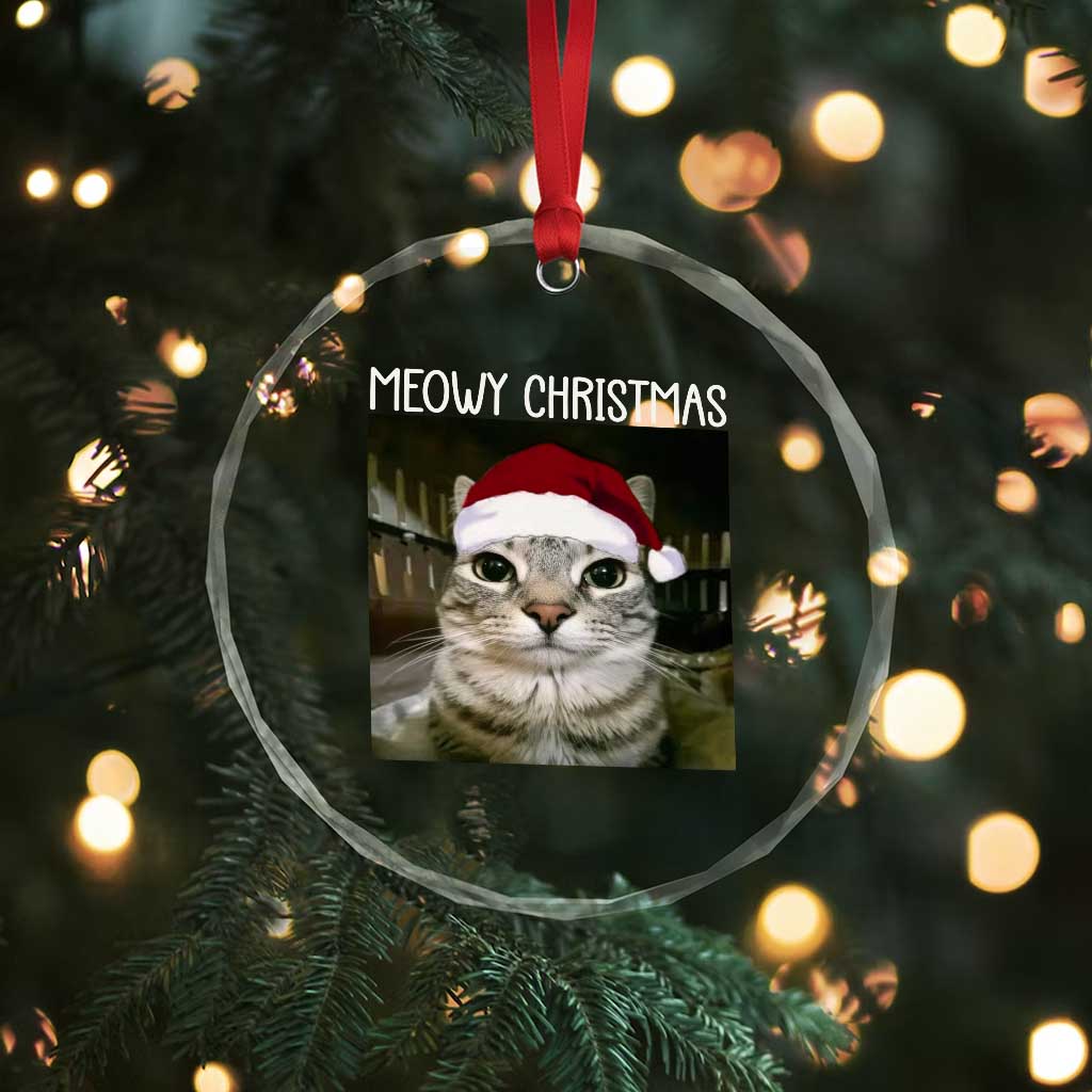 Meowy Christmas Crystal Glass Ornament Xmas Silly Staring Cat Meme Santa Hat - Wonder Print Shop