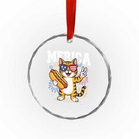 Merica Cat Crystal Glass Ornament Funny 4th of July Hot Dog and Fireworks Patriotic USA Flag TS02