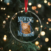 Mewing Not Meowing Crystal Glass Ornament Funny Cat Meme - Wonder Print Shop