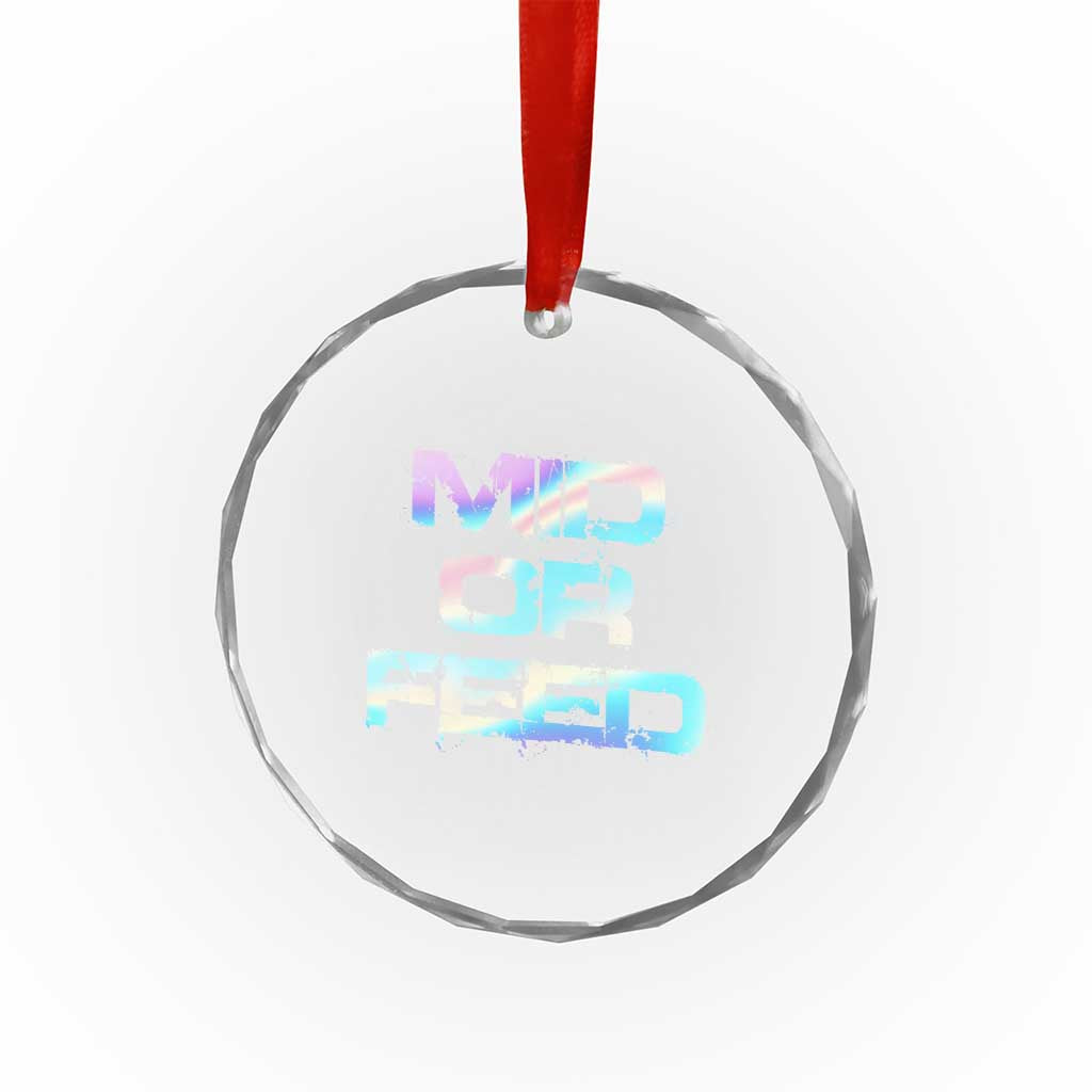 Mid Or Feed Iridescent Effect Crystal Glass Ornament Funny Game Lover Gift TS12