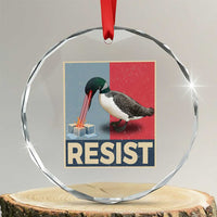 Minnesota Loon Resist Crystal Glass Ornament Loon Bird Laser Ice Cube Poster Graphic
