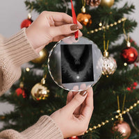 Mothman Crystal Glass Ornament Horror Poster Halloween Cryptid Lover TS10