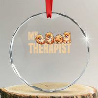 My Therapist Is My Dog Crystal Glass Ornament Cute Pomeranian Lover Meme