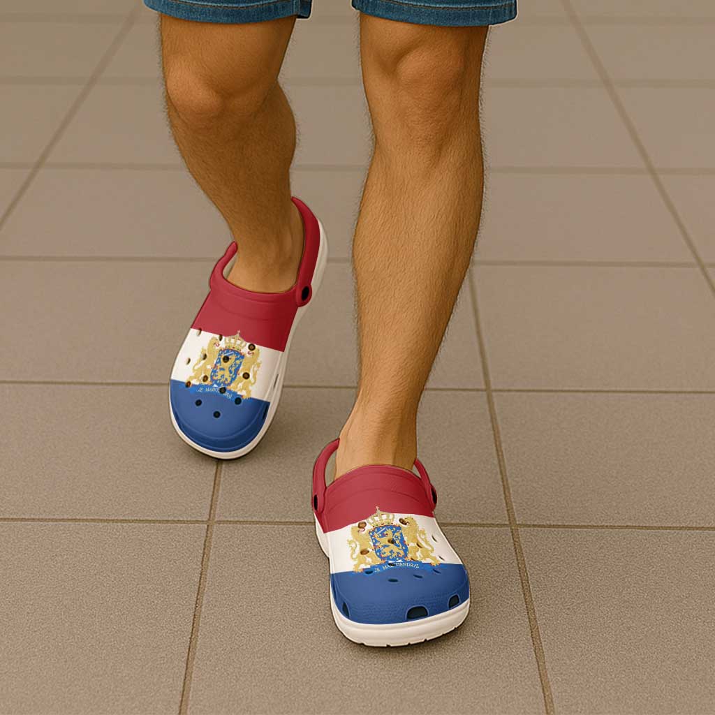 Netherlands Clogs Shoes Flag Color Inspiration - Wonder Print Shop