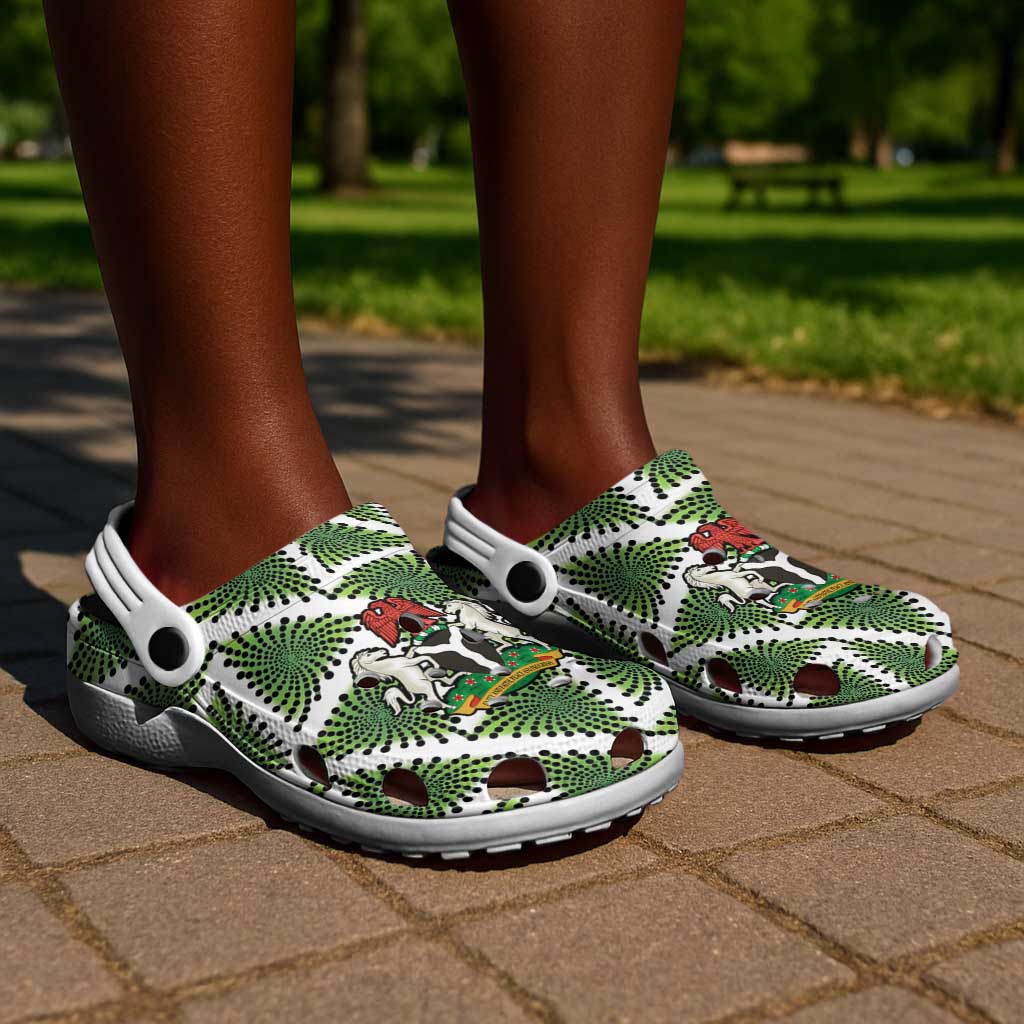 Nigeria Football Clogs Shoes Come On Super Eagles - Wonder Print Shop