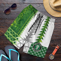 Nigeria National Football Shorts for Men Naija Super Eagles - Wonder Print Shop