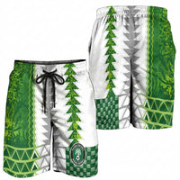 Nigeria National Football Shorts for Men Naija Super Eagles - Wonder Print Shop