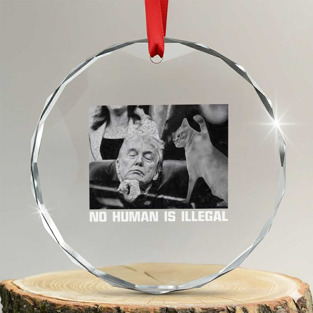 No Human Is Illegal Crystal Glass Ornament Funny Cat Anti ICE Meme