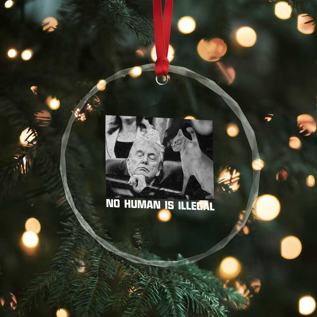 No Human Is Illegal Crystal Glass Ornament Funny Cat Anti ICE Meme
