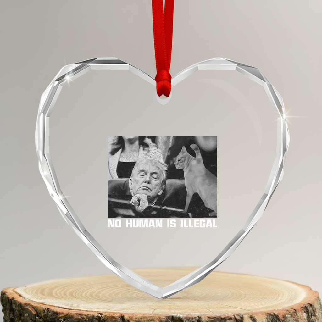 No Human Is Illegal Heart Crystal Glass Ornament Funny Cat Anti ICE Meme