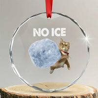 No Ice Crystal Glass Ornament Funny Cat Meme Subtle FDT Political Satire