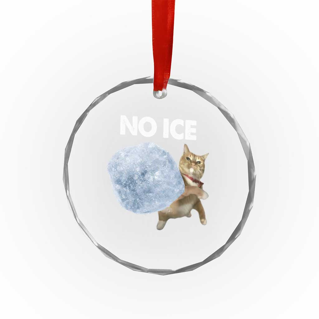 No Ice Crystal Glass Ornament Funny Cat Meme Subtle FDT Political Satire