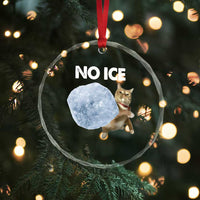 No Ice Crystal Glass Ornament Funny Cat Meme Subtle FDT Political Satire