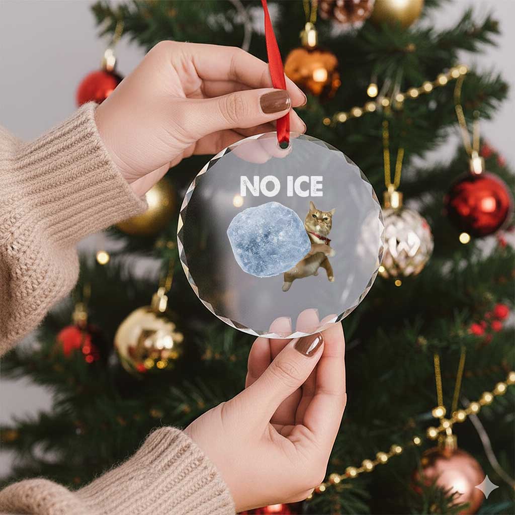 No Ice Crystal Glass Ornament Funny Cat Meme Subtle FDT Political Satire