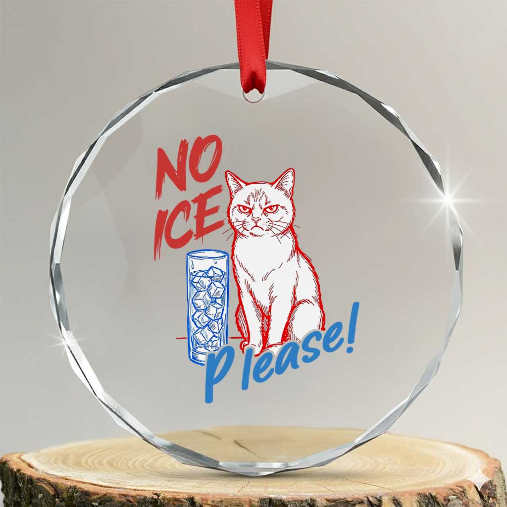 No Ice Please Angry Cat Graphic Crystal Glass Ornament Subtle Against Ice Protest Political Resistance